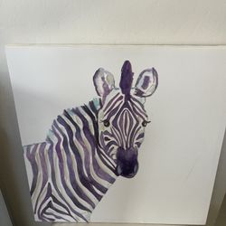 Zebra Picture 