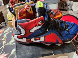 LeBron 12 SE "WHAT THE"