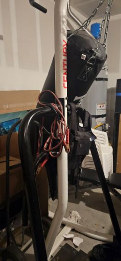 Punching bag and stand