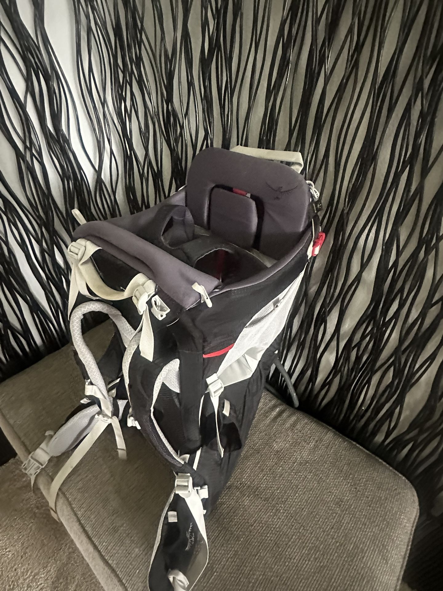Osprey Baby Carrier