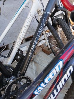 Bicycle