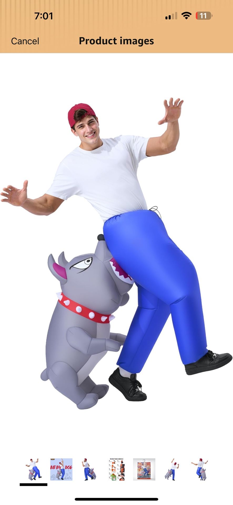 Inflatable Costume