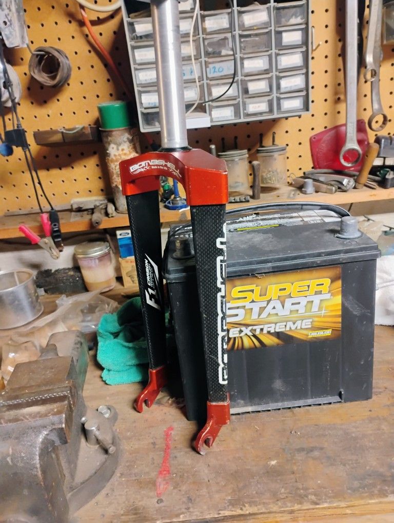 Carbon Fiber Forks