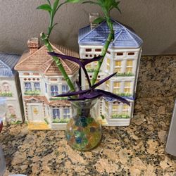 Lucky Bamboo 14” tall Healthy Beautiful And Green For You Office With Pot