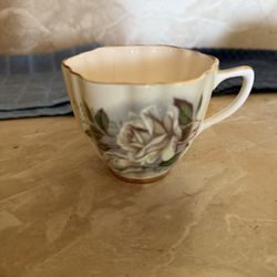 Crownford Fine Bone China 
