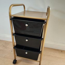 Rolling File Cabinet / Organizer 