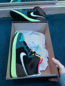 Jordan 1s Bio Hacks