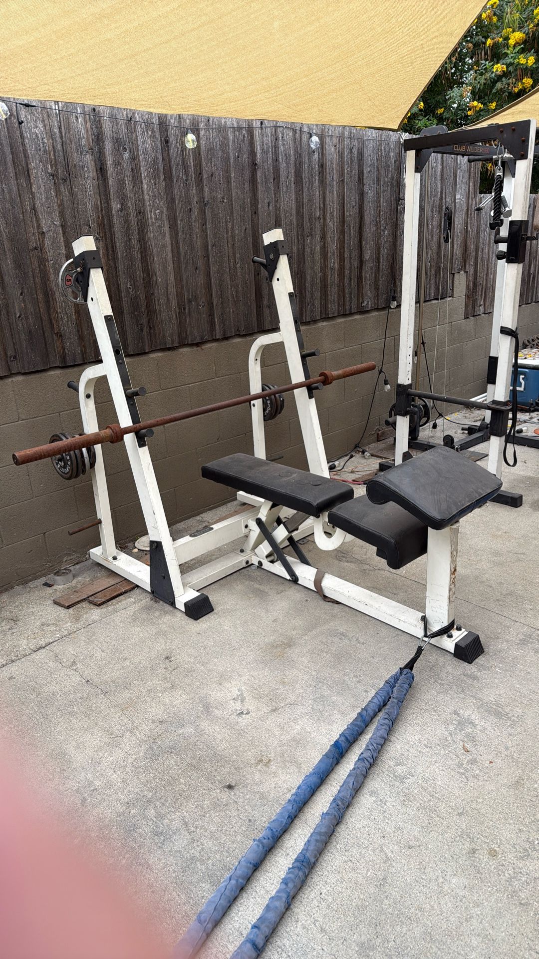 Adjustable Bench Press