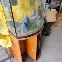Curved Front Aquarium with Stand and Decor