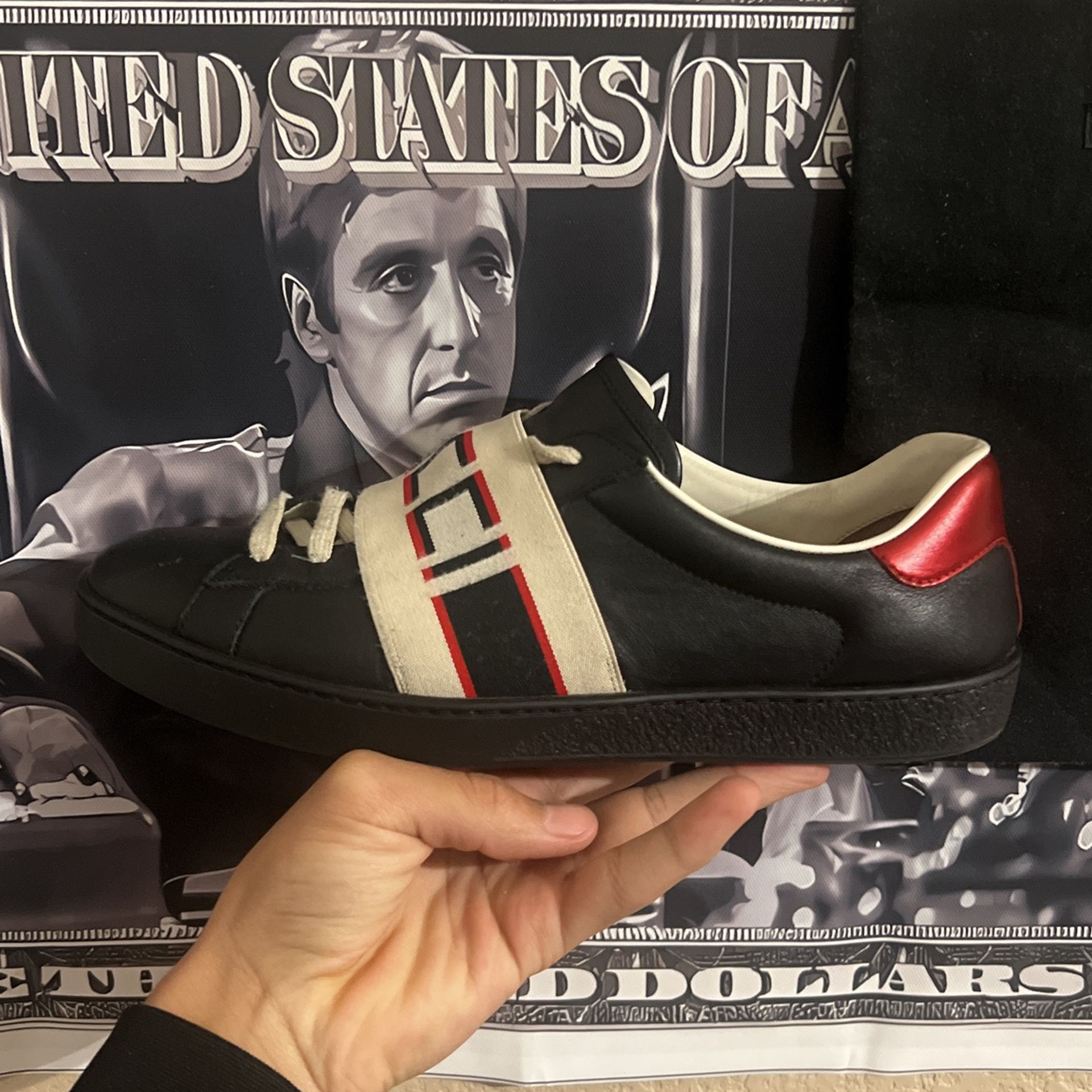 Gucci Aces