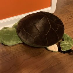 Turtle Backpack
