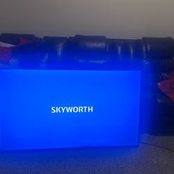 65’’ Smart Tv  w/ Swivel Mount 