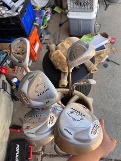 Golden bear, golf clubs