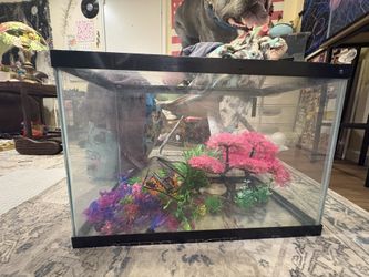 20 Gallon Glass Aquarium