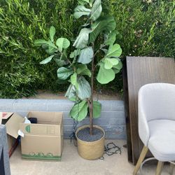 Fake Plant