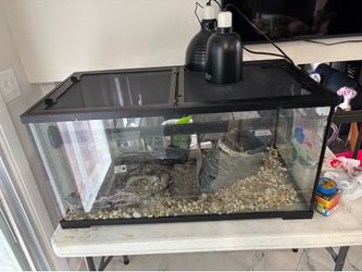 Starter 30 gal used turtle tank