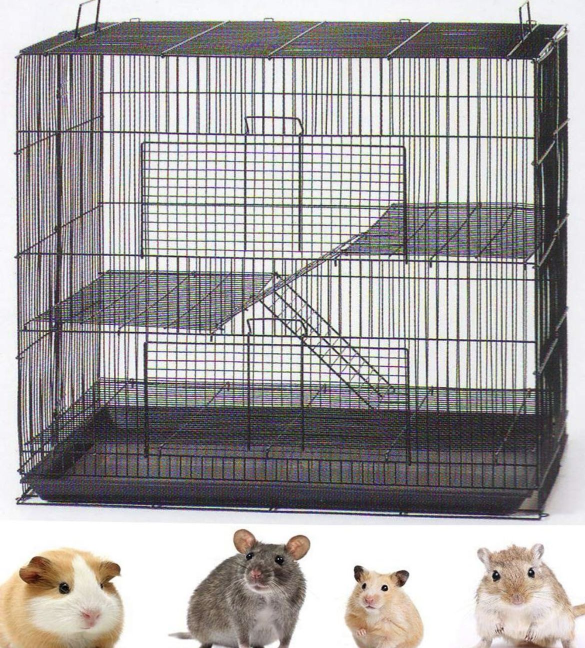 Cage