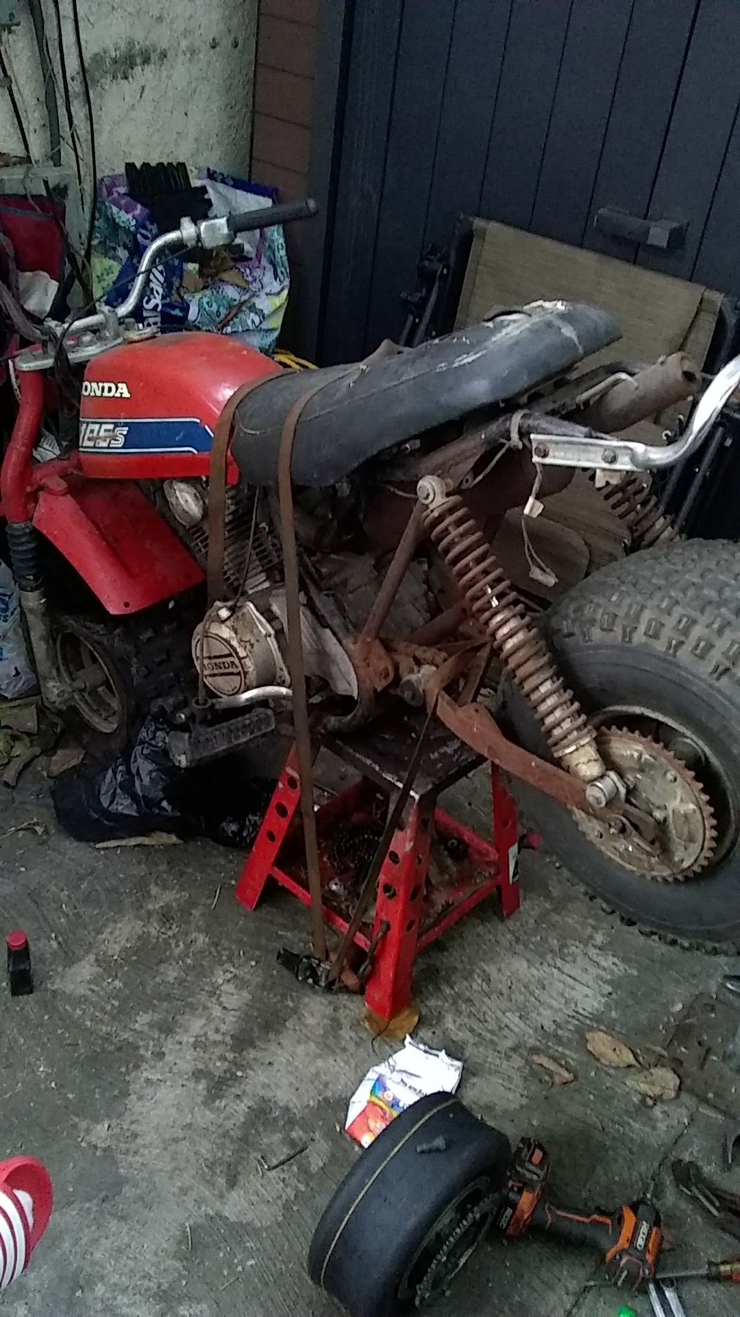 Honda 185s fat cat rare