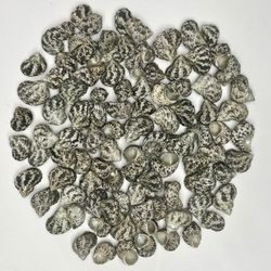  Nautical Theme Party Decor: 100 Shells