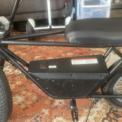 Razor Rambler 16 with 48v lithium battery