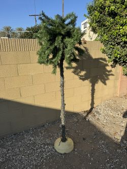 Palm Tree Light Up Decor