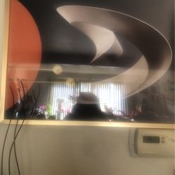 20x18  Hanging Picture