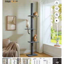 Pawz Road Floor To Ceiling Cat Tree