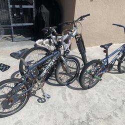3 Bikes for $20