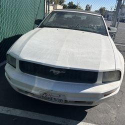 Parting Out 2006 Ford Mustang Parts