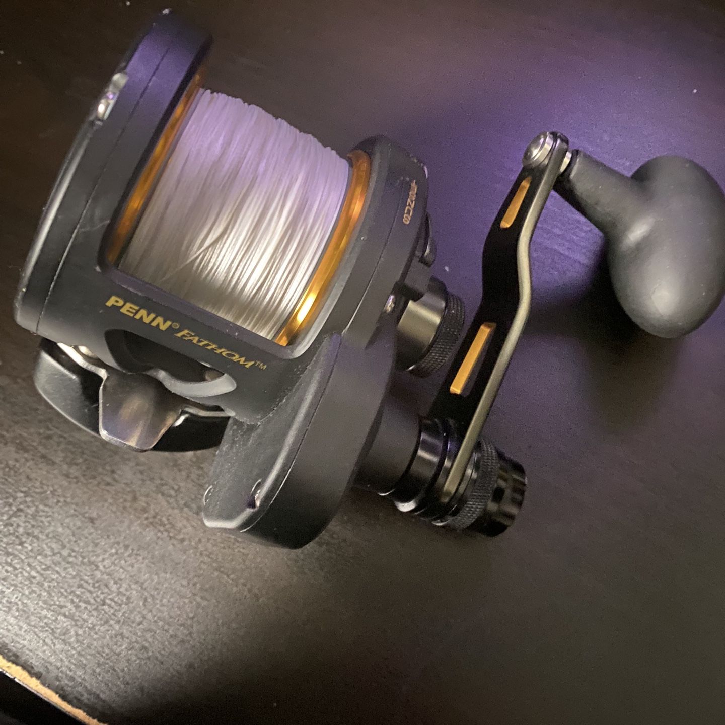 Penn Fathom 25NLD2 Narrow 2 Speed Lever Drag Left Had Reel for