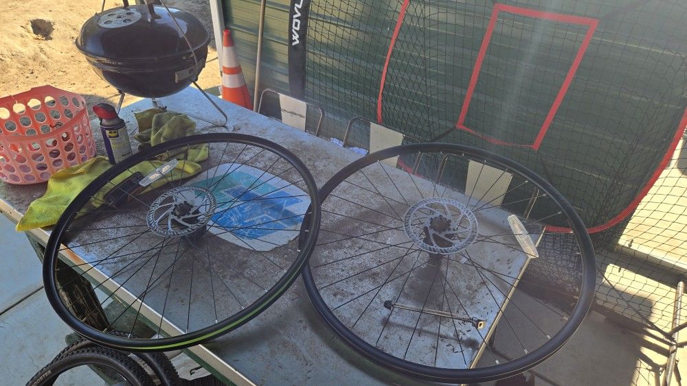 Giant 29 Wheels And Tires