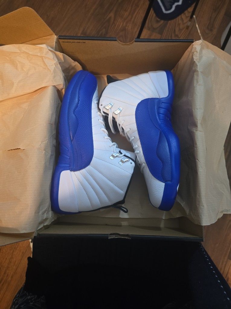 Air Jordan 12 Blueberry