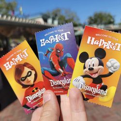 Disneyland Ticket 1 Pass Park Hopper