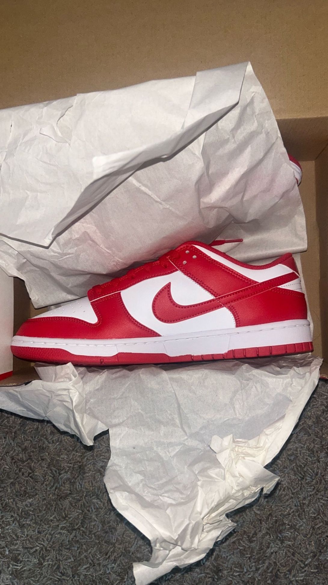 Brand New Nike Next Nature Dunks Size 10.5
