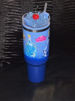 CUSTOM MADE DISNEY PRINCESS TUMBLER