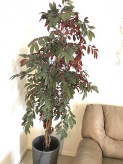 Artificial house plant/tree
