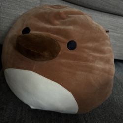 Platypus Plushie  