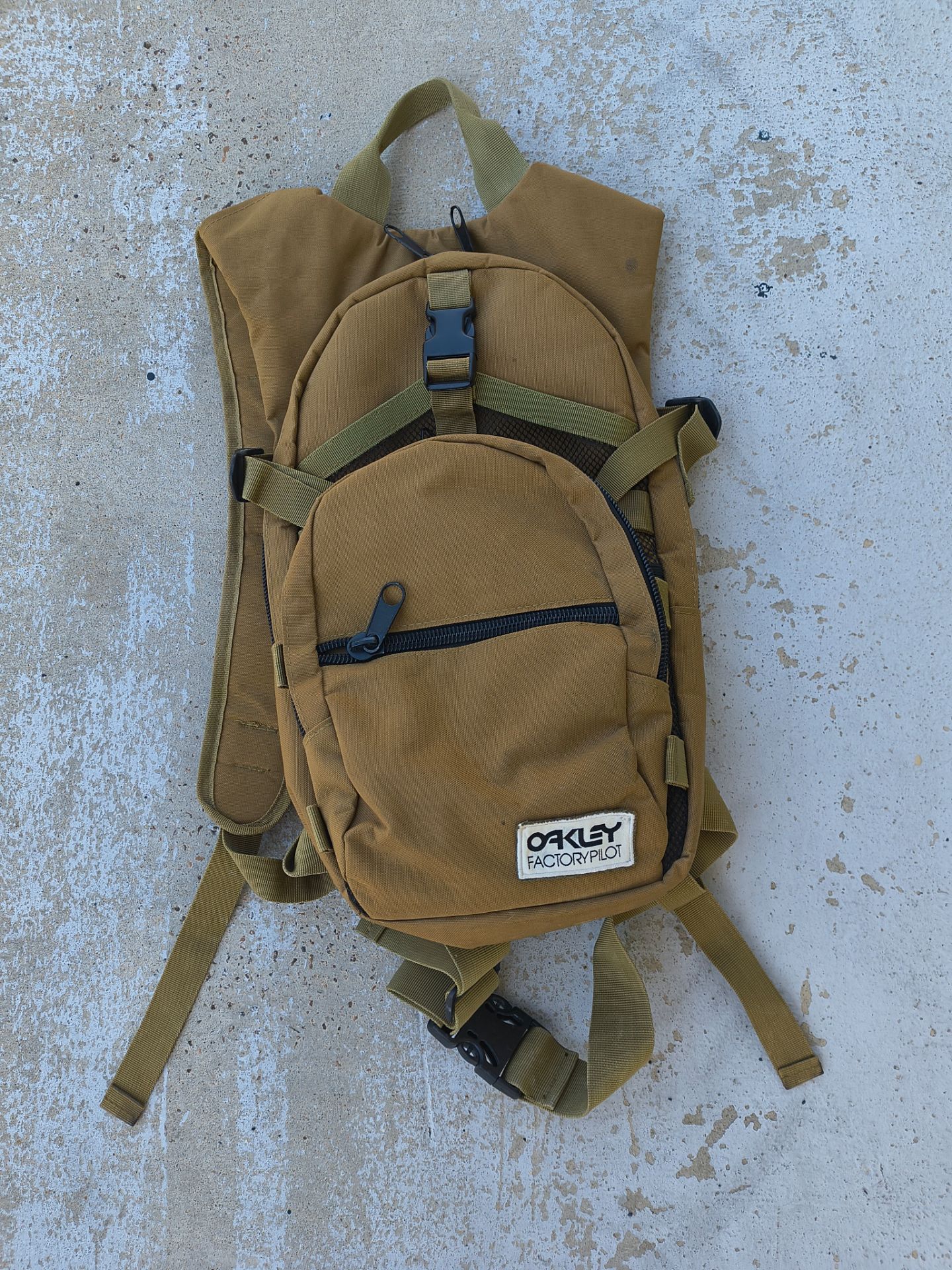 Coyote Camelback