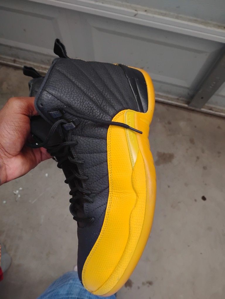Air Jordan 12
