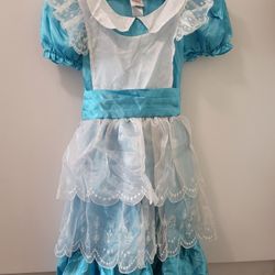 Disney Alice In Wonderland Costume