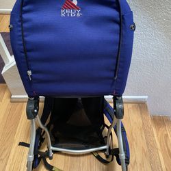 Kids Backpack Hiking New  Carrier $100