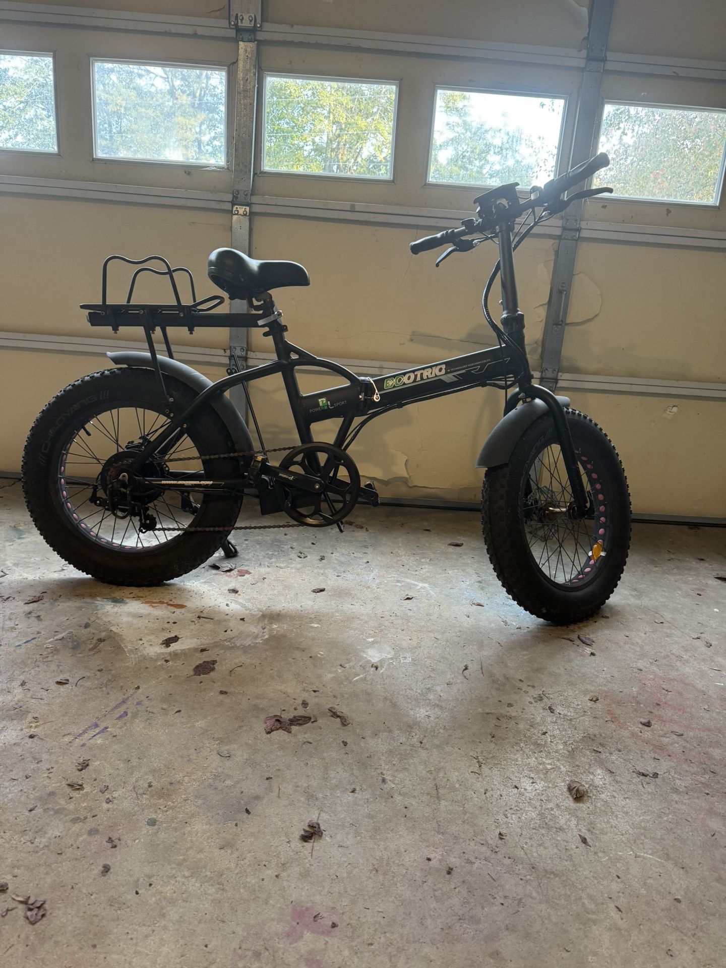 Electric Ecotric Bike