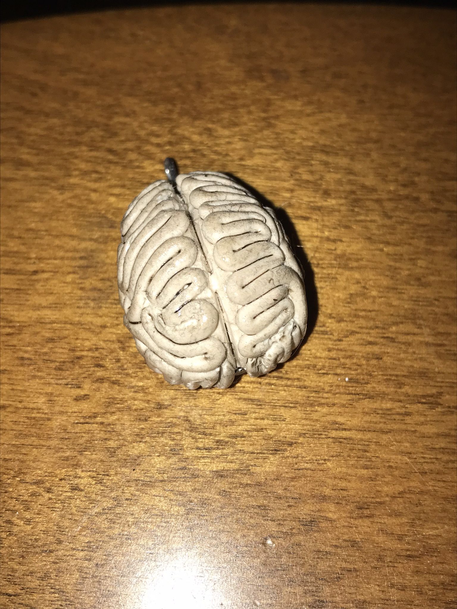 Brain necklace pendant (made by me)