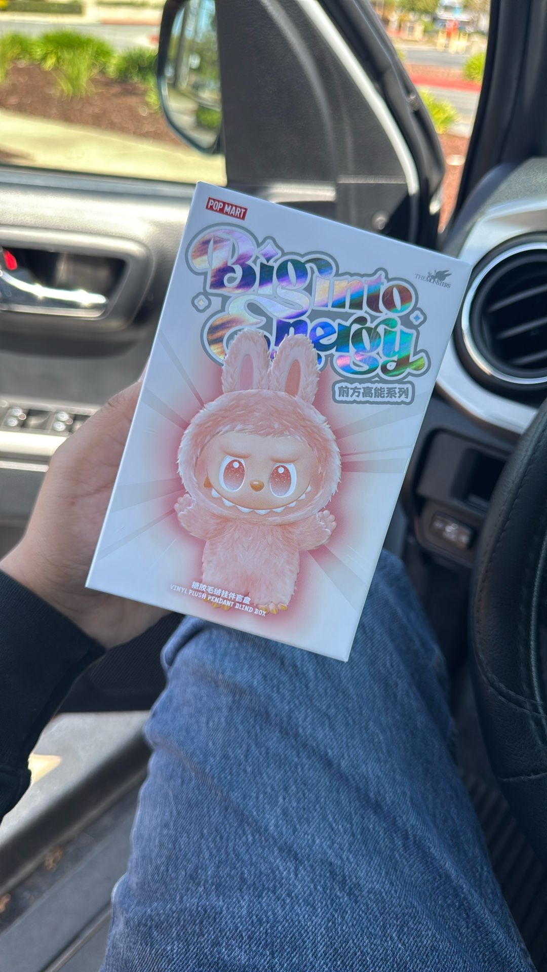 Labubu 3V Blind Boxes