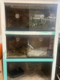 Aquarium Reptile tank