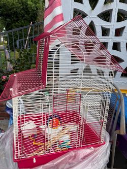 Bird Cage
