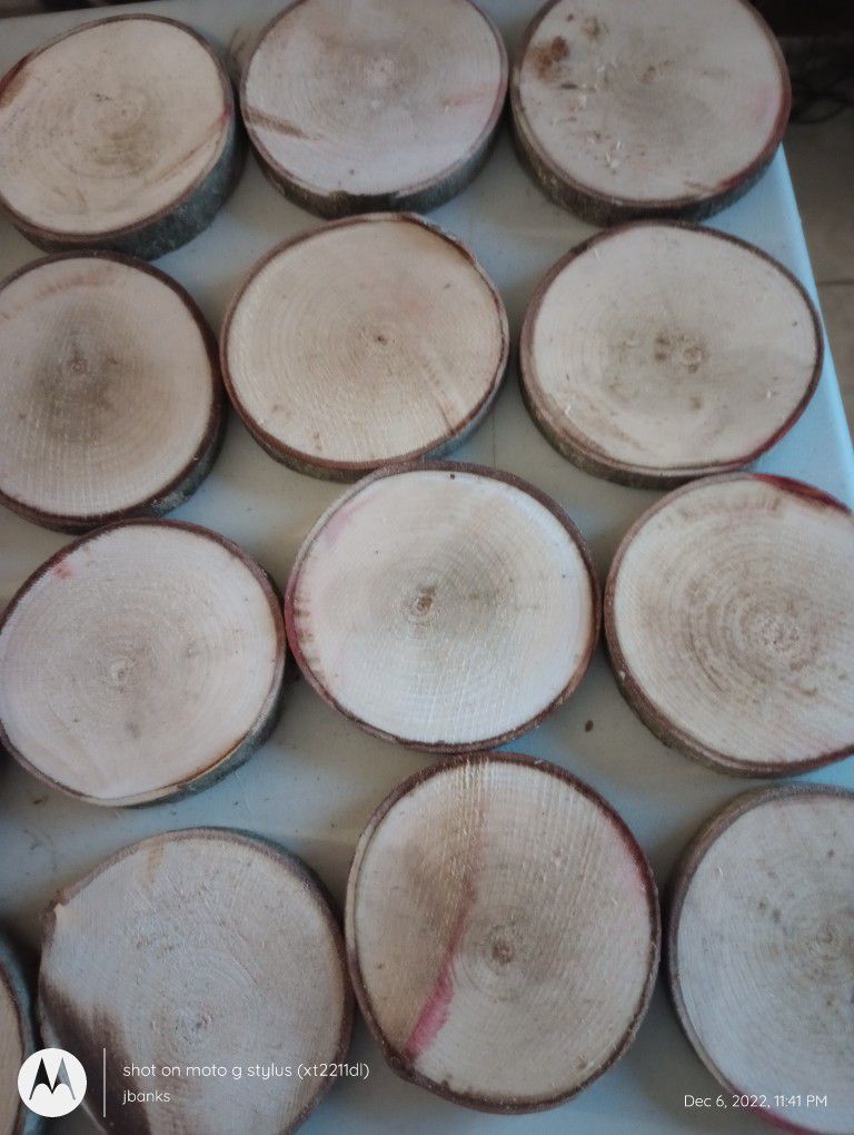 Natural Crafting Discs From Dry Sturdy Birch Log Come With Free Ornament 