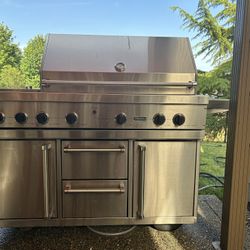 Viking professional BBQ grill And Smoker