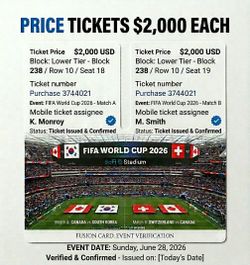World Cup Soccer Playoffs @ SOfI 6/28 section 238