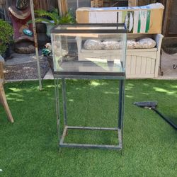 10 Gallon Tank With Stand 